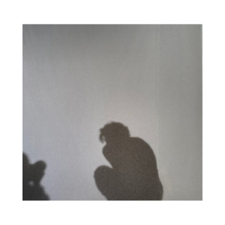 Винил, Harry Styles – Harry’s House