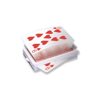 Сет трикови со карти, Marvin's Ultimate Magic 250 Card Tricks