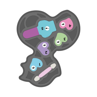 Сет детски шминки, Crazy Chic Beauty, Lovely Fox Make Up 