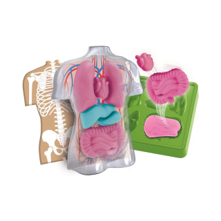 СТЕМ сет, Science & Play Lab, Squishy Anatomy 
