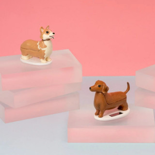 Соларна фигура, Corgi