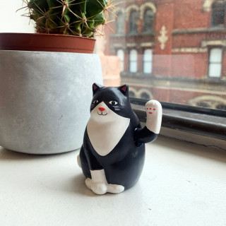 Соларна фигура, Cat