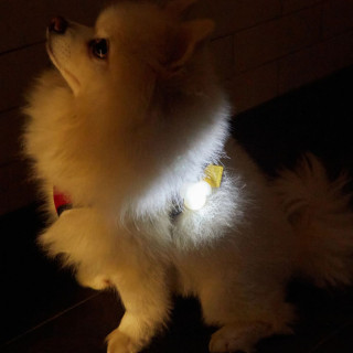 Светлечки приврзок за ремче за куче, Kobe Light Up Name Tag 