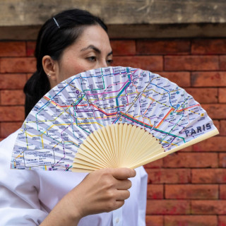 Ладало со мапа, Paris Transit Map Fan