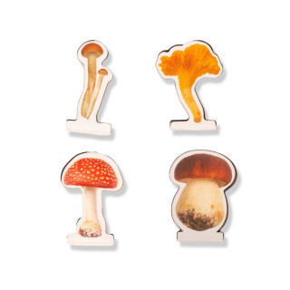 Магнетни разделници, Mushroom Magnetic Bookmarks