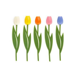 Разделник, Tulip, 5 бои 