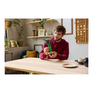 LEGO коцки, Botanicals, Lucky Bamboo 