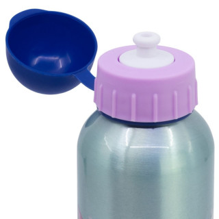 Детско алуминиумско шише, Frozen, 530 ml