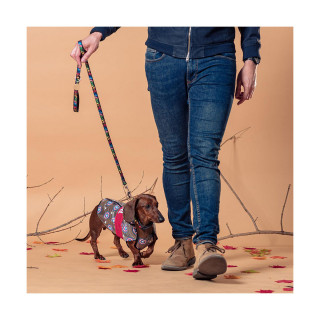 Кабаница за куче S, Marvel: Captain America 