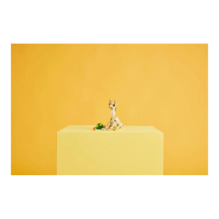 LEGO коцки, Creator 3in1, Cute Bunny 