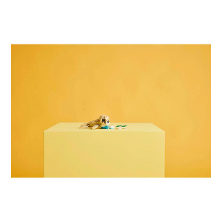 LEGO коцки, Creator 3in1, Cute Bunny 