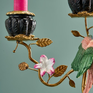 Свеќник, Jungle Love: Tiger 