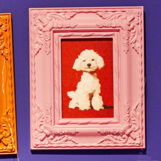 Слика во рамка, Art Gallery Collection: White Poodle, 20 x 25 cm 