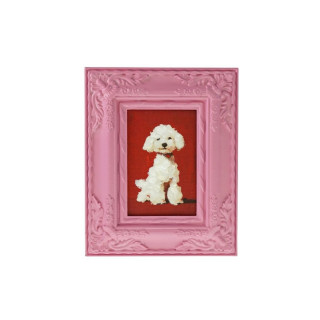 Слика во рамка, Art Gallery Collection: White Poodle, 20 x 25 cm 
