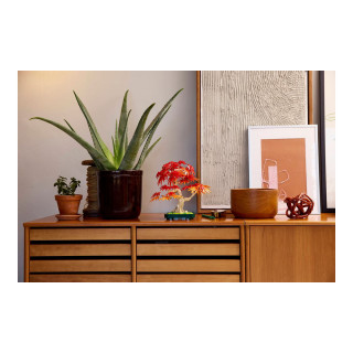 LEGO коцки, The Botanical Collection, Japanese Red Maple Bonsai Tree 