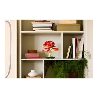 LEGO коцки, The Botanical Collection, Japanese Red Maple Bonsai Tree 