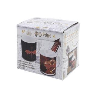 Шолја променлива на топлина, Harry Potter - Room of Requirement 