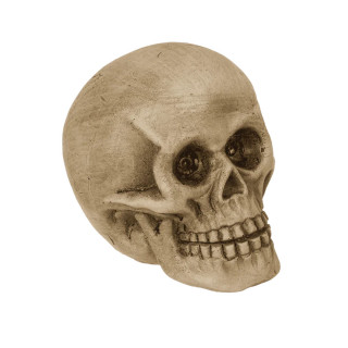 Фигура со LED светло Skull, 10 cm 