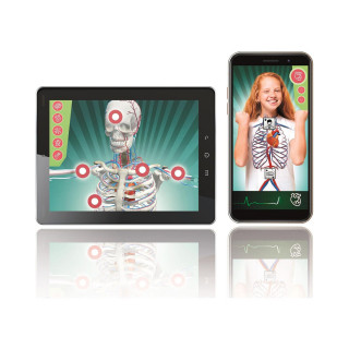 СТЕМ сет, Science & Play Lab, Super Anatomy 