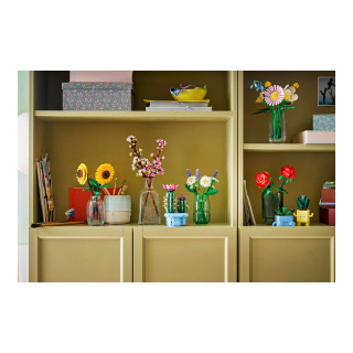 LEGO коцки, Botanicals, Daisies 