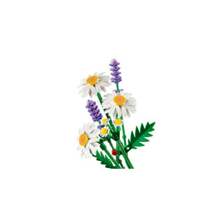 LEGO коцки, Botanicals, Daisies 