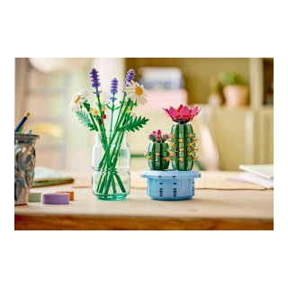 LEGO коцки, Flowering Cactus 
