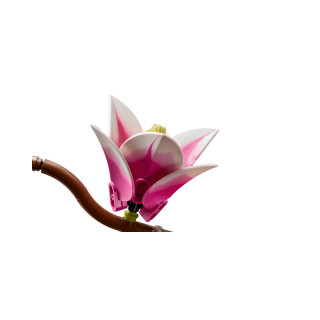 LEGO коцки, Botanicals, Magnolia Branches 