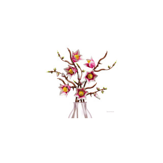 LEGO коцки, Botanicals, Magnolia Branches 
