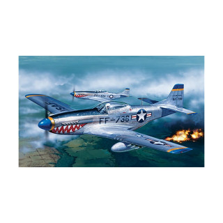 Макета, Aircraft, P-51D Mustang, 1:72 