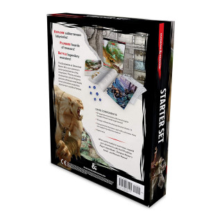 Друштвена игра, Dungeons & Dragons: Starter Сет