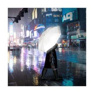 Рефлективен чадор, Reflective Umbrella