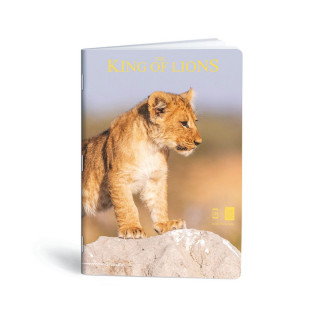Тетратка, Lipa Mill, King of Lions, А4, коцки 
