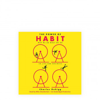 The Power of Habit: Why We Do What We Do in Life and Business 