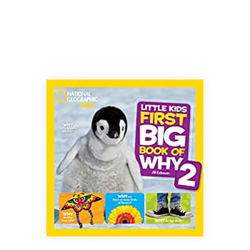 Paperback  250 x 250 x 14mm | 770g   05 Apr 2018 