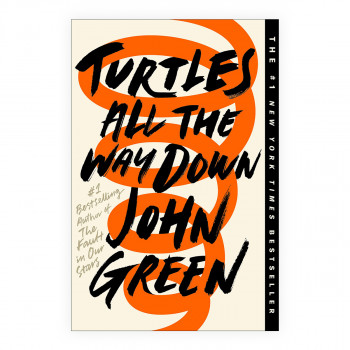 Turtles all the Way Down 