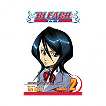 Bleach Vol 2 