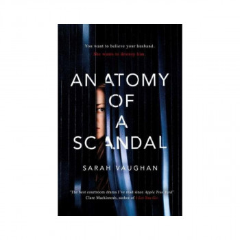 Anatomy of a Scandal 