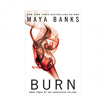 Burn : Book 3 of the Breathless Trilogy 