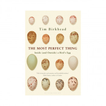 The Most Perfect Thing : Inside (and Outside) a Bird's Egg 