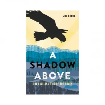 A Shadow Above : The Fall and Rise of the Raven 