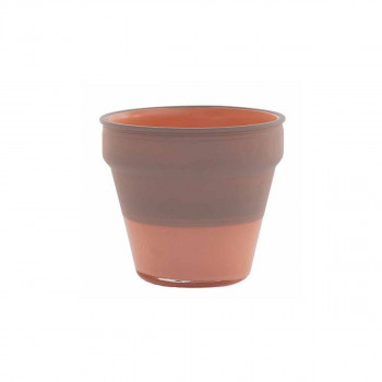 Декоративен стаклен сад, Camelia, Albicocca Caspo 