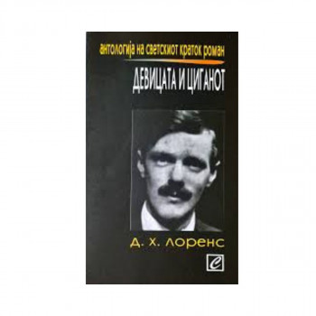 Девицата и циганот 