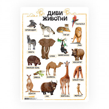 Постер, Диви животни, пластифициран 