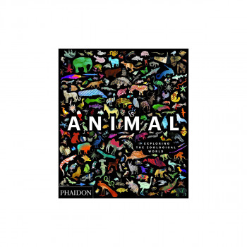 Animal: Exploring the Zoological World 