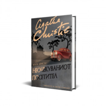 Неочекуваниот посетител 
