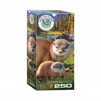 Сложувалка, Otters, 250 парчиња 