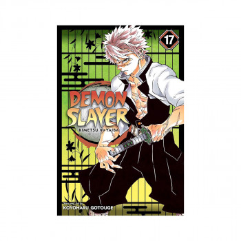 Demon Slayer: Kimetsu no Yaiba, Vol. 17 