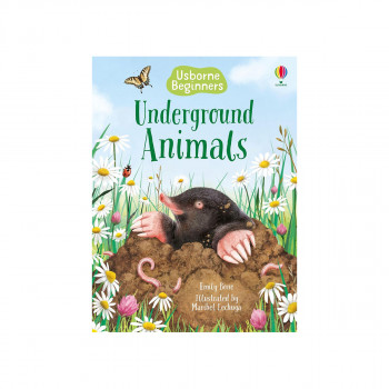 Underground Animals (Usborne Beginners) 