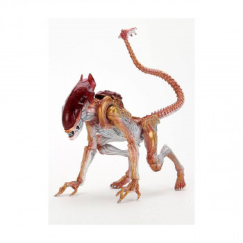 Фигура, Aliens - Panther Alien (Kenner Tribute), 23 cm 
