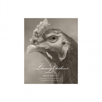 Literary Chickens 
